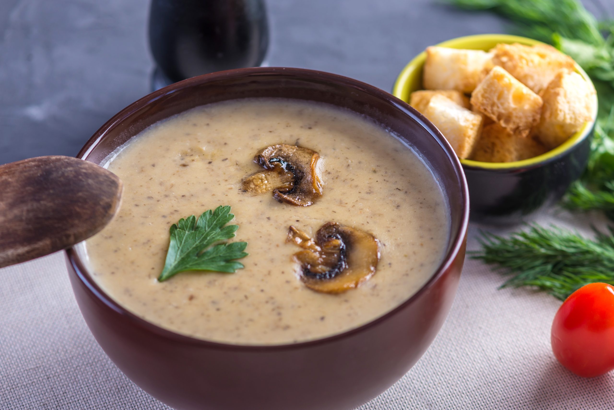 Gourmet Mushroom Soup